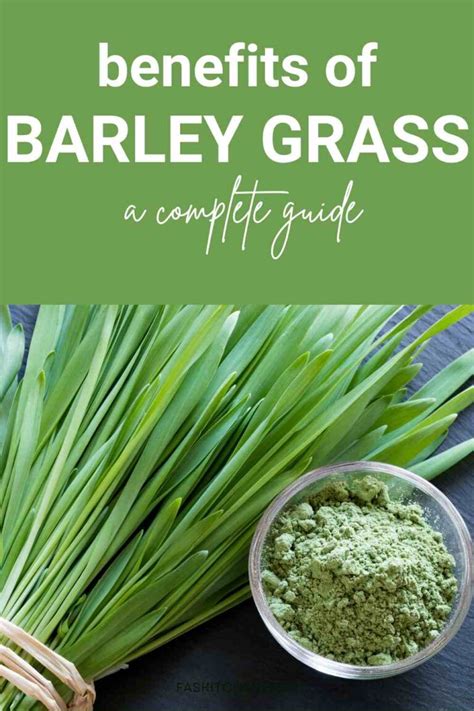 Barley Grass 101: Nutrition, Benefits, How To Use, Buy, Store A ...