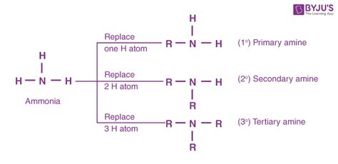 Physical Properties of Amines with Characteristics and Classification