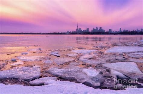 Toronto Winter Waterfront Skyline Photograph by Charline Xia | Fine Art ...