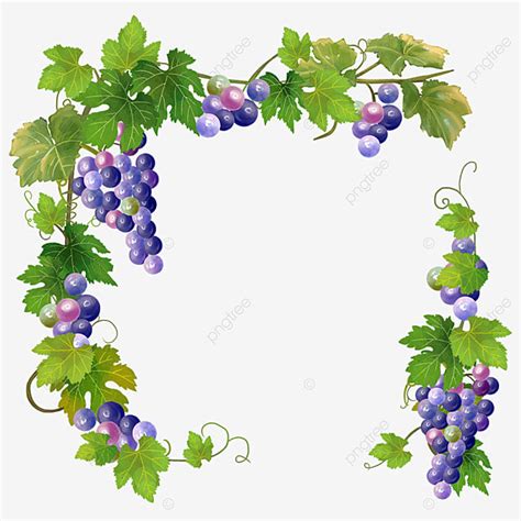 Vines Border Clipart PNG Images, Watercolor Vine Border, Grape, Rattan ...