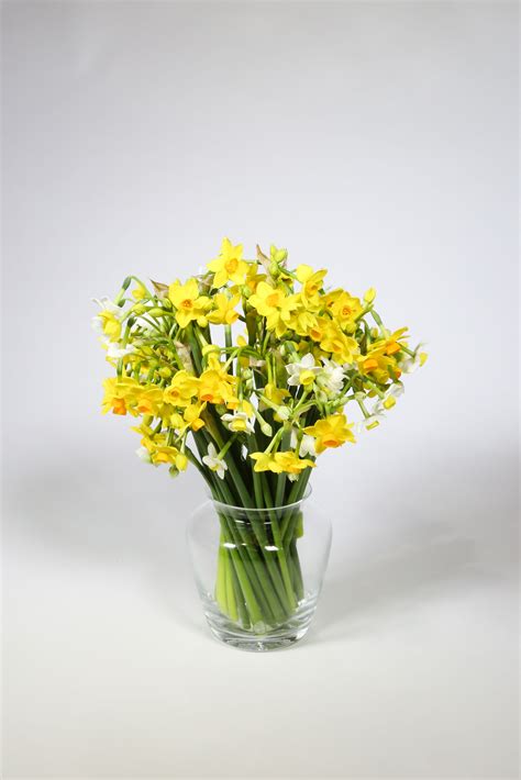 Isles of Scilly Flowers, Trenoweth Flower Farm, St Marys, Isles of Scilly, Scented Narcissi ...