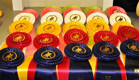 Five Ways to Win in Dressage Competition! - YourDressage.org