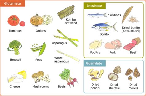 Glutamate Rich Foods | Umami Basics丨Umami Information Center | Umami, Food gallery, Broccoli beef