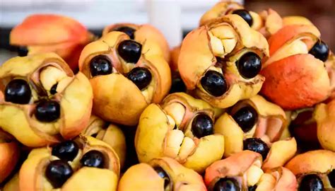 Health benefits of ackee fruit