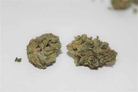 A Real Review of The Snowcap Strain From Captain Chronic