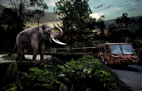 Night Safari | Things to do in Mandai, Singapore