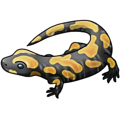 Salamander PNG Transparent Images