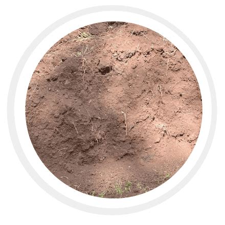 Types Of Soil - Sandy Soil, Clay Soil, Silt Soil, And Loamy Soil