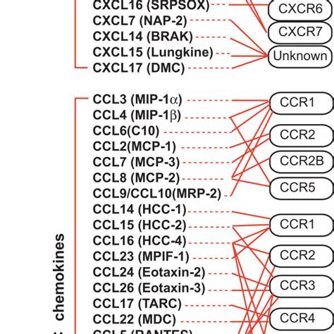 Human chemokines and their receptors. | Download Scientific Diagram