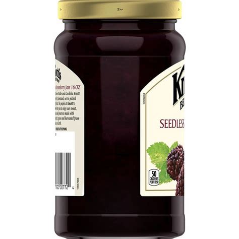 Knott's Berry Farm Pure Boysenberry Jam, Seedless (16 oz) Delivery or ...