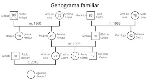 ¿CÓMO REALIZAR UN GENOGRAMA DE TRES GENERACIONES?