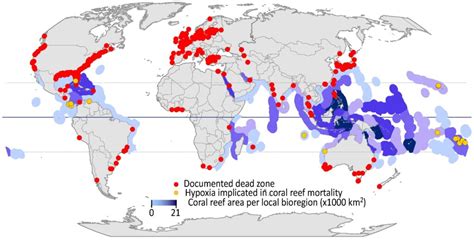 Assessing the Threat of Hypoxia to Coral Reefs - NCCOS - National Centers for Coastal Ocean Science