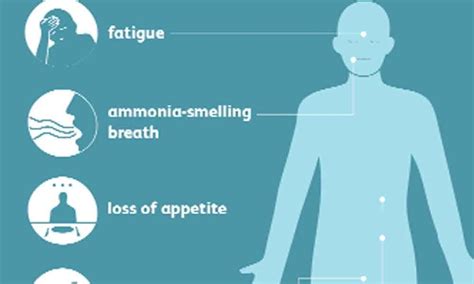 Chronic kidney disease patients must avoid too much phosphorus