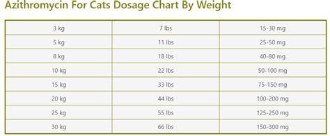 Guide About Azithromycin Dosage For Cats & Chart By Weight