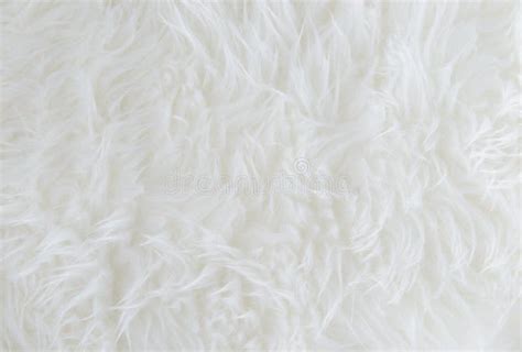 31,868 White Fur Texture Stock Photos - Free & Royalty-Free Stock ...