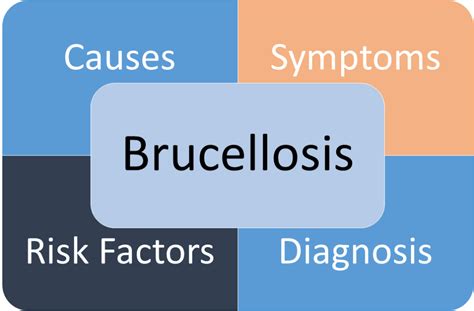 Brucellosis – Symptoms, Causes And Risk Factors | Home Remedy & Natural ...