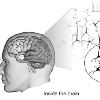 1. Neural correlates of consciousness (Koch 2004). The conscious... | Download Scientific Diagram