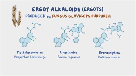 Ergot alkaloids: Nursing pharmacology - Osmosis Video Library