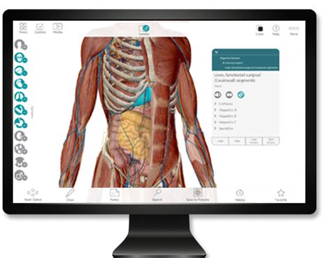 Human anatomy atlas sp crack - palslockq