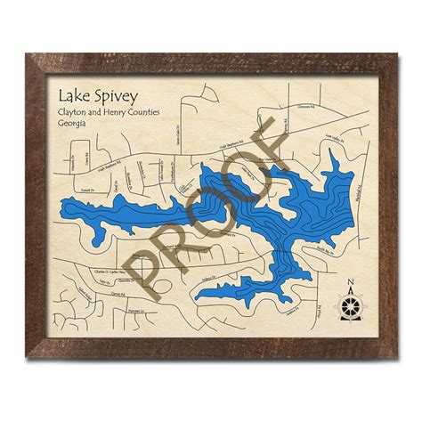 Lake Spivey GA 3D Wood Map Custom Nautical Chart Unique - Etsy UK