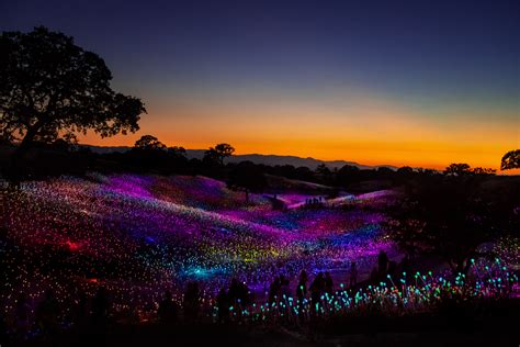 Field Of Lights Paso Robles - Draw-e