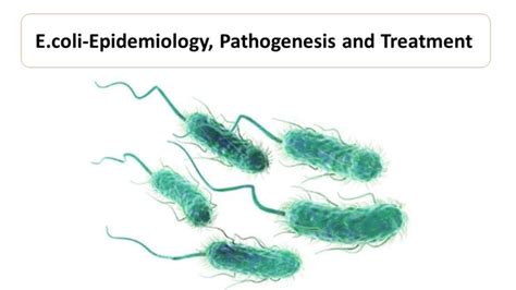 E.coli-Epidemiology, Pathogenesis and Treatment - Microbiology Notes