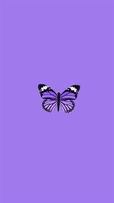 Aesthetic Design Aesthetic Butterfly Cute Purple Butterfly Wallpaper - Download Free Mock-up