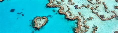 Seeing the Heart Reef in the Whitsundays