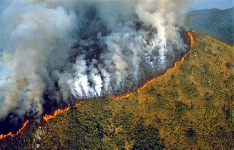 deforestation, Amazon basin | | Pinterest