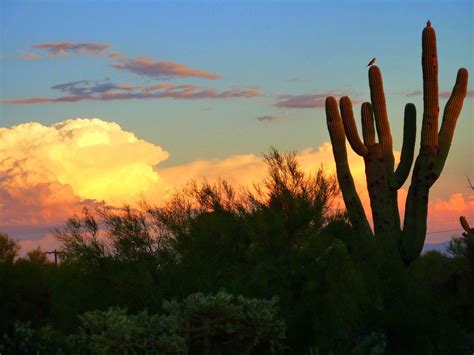 2014 Monsoon Season Forcast Tucson Arizona | HD Coloring Pages