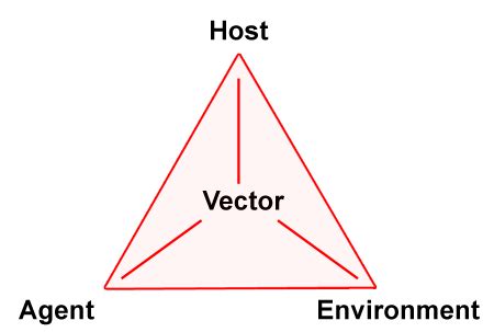 What is the triad of disease causation? | Homework.Study.com