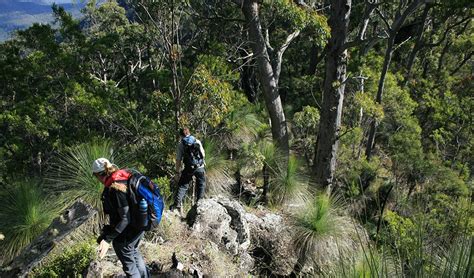 Queensland's new Scenic Rim Trail - Australian Geographic