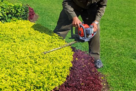 Shrub Shaping and Pruning Service in Hagerstown and Frederick, MD