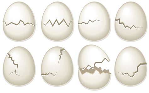 Vector Set Of Broken Egg Shells 169514 Vector Art at Vecteezy