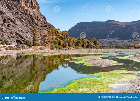 Fresh River in Beautiful Desert Oasis Nature Landscape in Oasis De Fint Near Ourzazate in ...