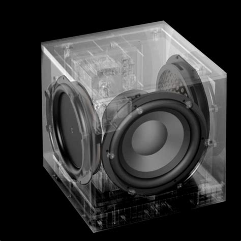 Definitive Technology DN8 and DN12 Subwoofers Overview | AV Gadgets