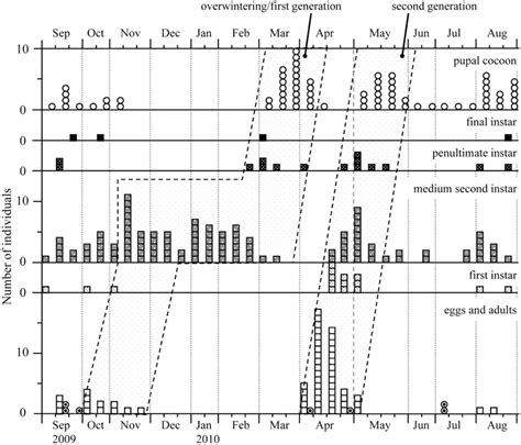 Seasonal Life Cycle of Zatypota albicoxa (Hymenoptera: Ichneumonidae ...