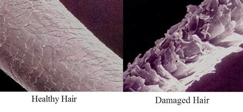 How To Prevent The 4 Common Causes Of Hair Damage - A Relaxed Gal