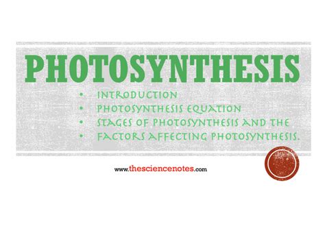 factors affecting photosynthesis Archives - The Science Notes