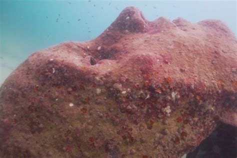 This underwater sculpture is helping to restore coral reefs in Thailand