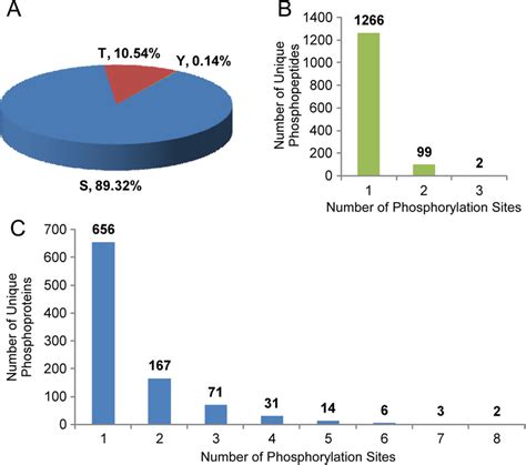 Analysis of identified phosphorylated sites. (A) Distribution of the... | Download Scientific ...