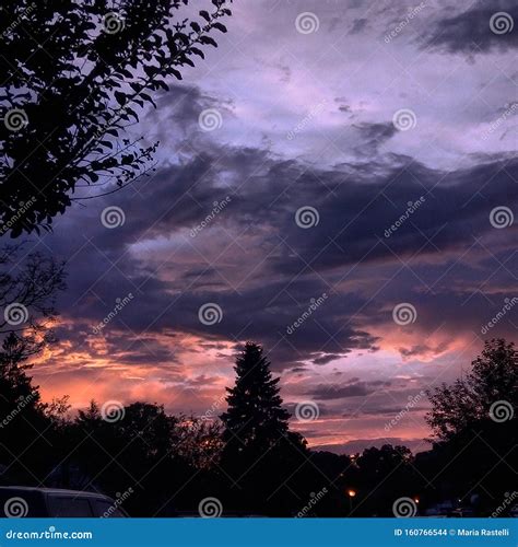 Bliss stock photo. Image of trees, colorful, evening - 160766544