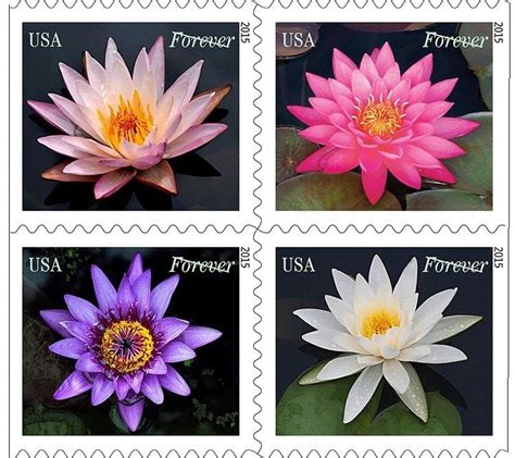 US Water Lilies forever block set MNH 2015 after Mar 27 | Usps stamps ...