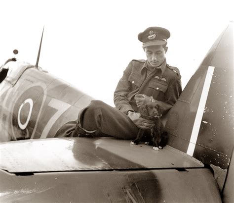 Spitfire pilots and their dogs | Hush-Kit