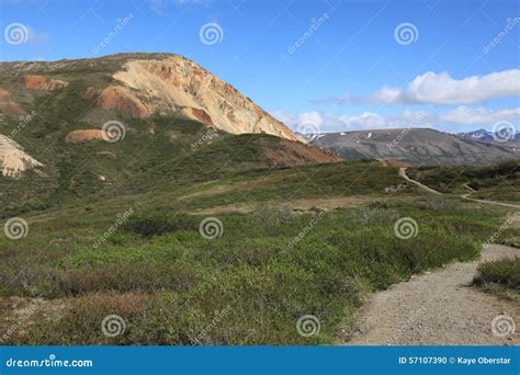 Hiking Trails in Denali National Park Stock Photo - Image of traveling, range: 57107390