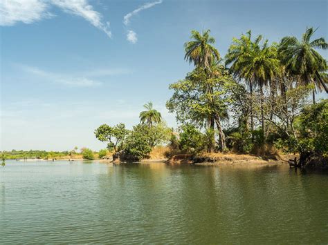 River Gambia National Park | Mustseespots.com