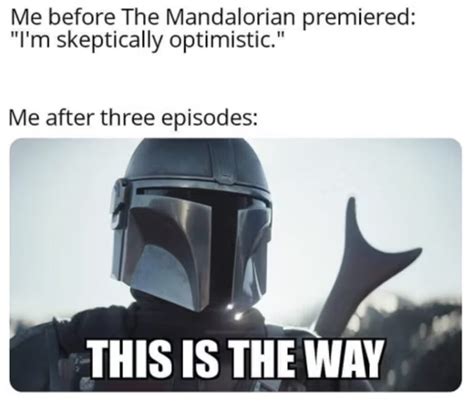 Funny Mandalorian Memes to Show You the Way - Lola Lambchops