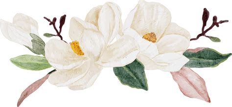 watercolor white magnolia flower and leaf branch bouquet 9390945 PNG