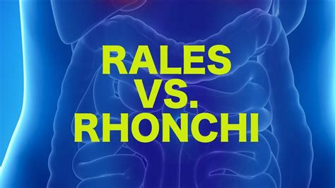 Rales vs. Rhonchi || USMLE - YouTube