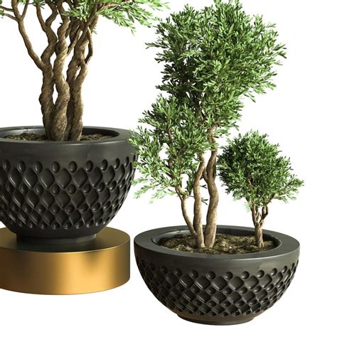 Indoor Plant Vol 47 - 3D Model for VRay